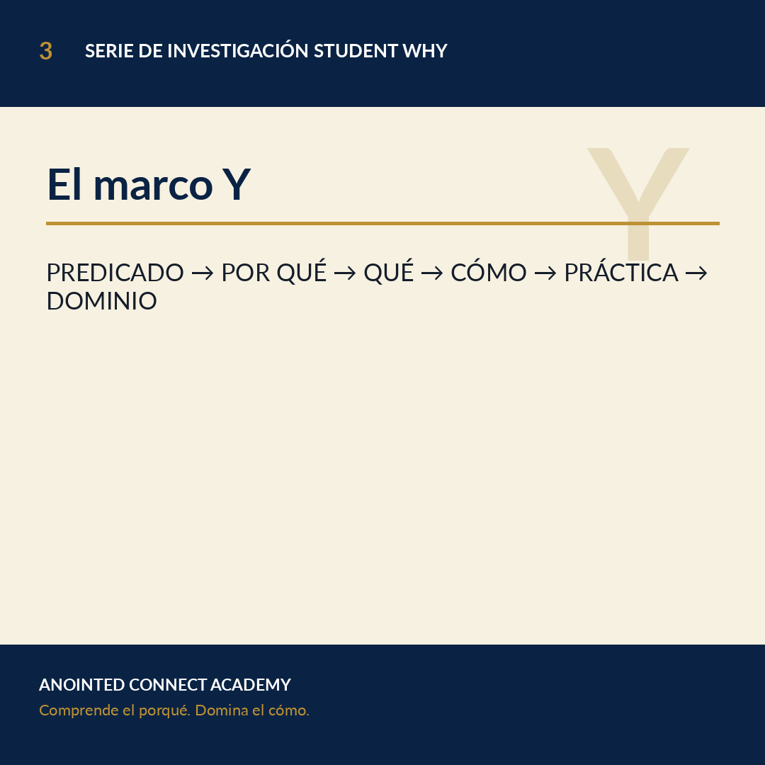The Y Framework
